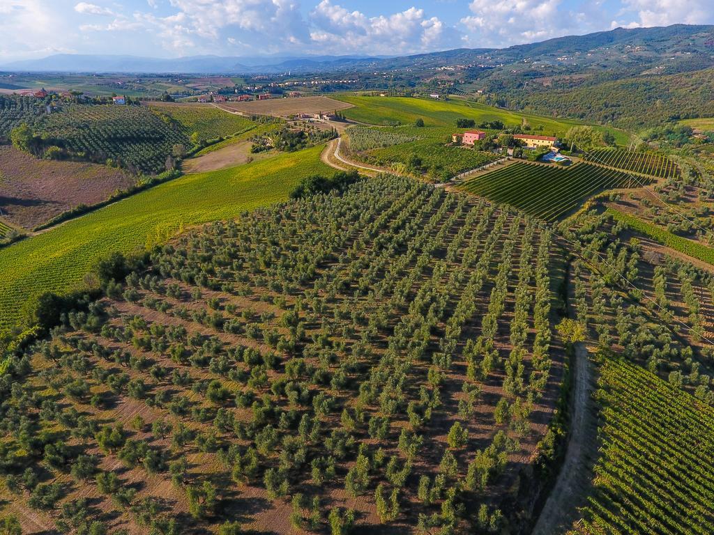 Agriturismo Luggiano 빈치 외부 사진